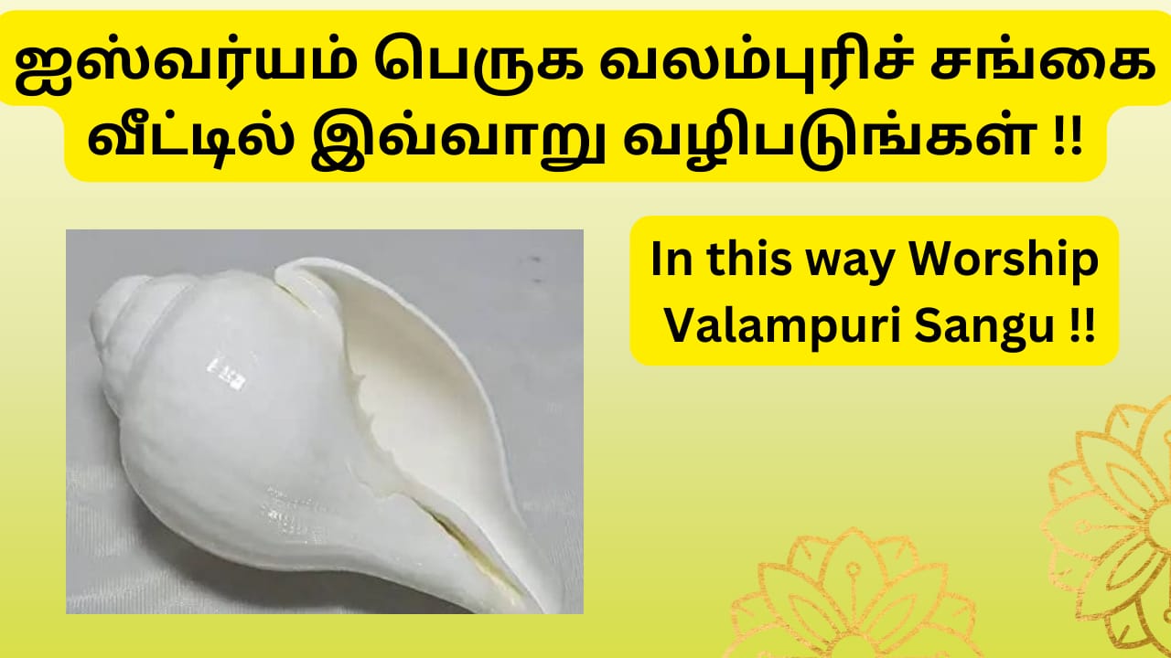  ஐஸ்வர்யம் பெருக வலம்புரிச் சங்கை வீட்டில் இவ்வாறு வழிபடுங்கள் !!  |   Worship  Valampuri Sangu in this way !!