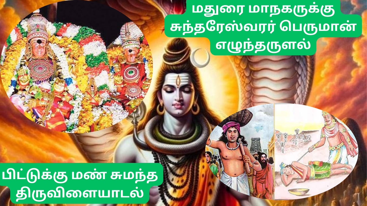  சிவபெருமானின் அருளைப் பெறும் ஆவணி மூல நட்சத்திரத்தின் சிறப்புகள் - Specialties of Avani Moola Nakshatra 