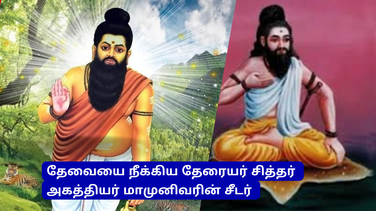  தேரையை நீக்கிய தேரையர் சித்தர் – அகத்தியர் மாமுனிவரின் சீடர் – Merits of Theraiya Siddha – Siddha the toad who removed the toad