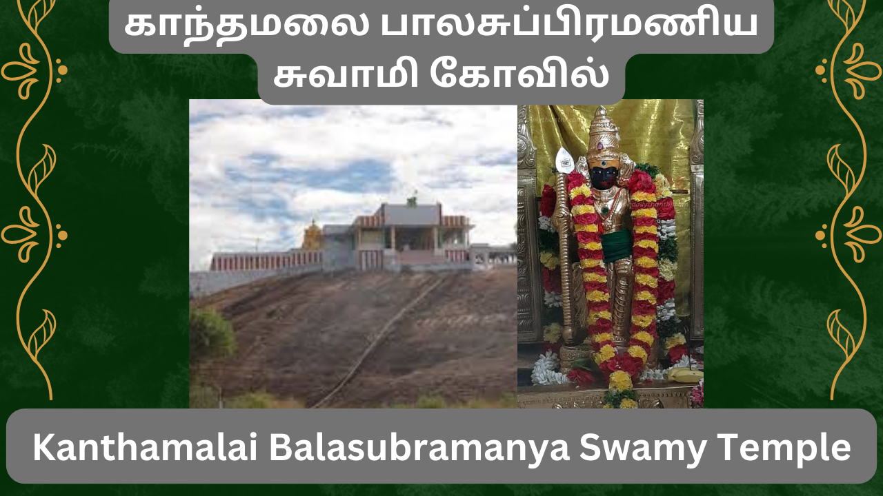  கரத்தில் தண்டம் ஏந்தி ஆவுடையார் மேல் நின்ற கோலத்தில் காட்சியருளும் காந்தமலை பாலசுப்பிரமணிய சுவாமி கோவில் | Kanthamalai Balasubramanya Swami Temple with a view of the Kolam standing on top of Audhudayar carrying a staff in his hand.