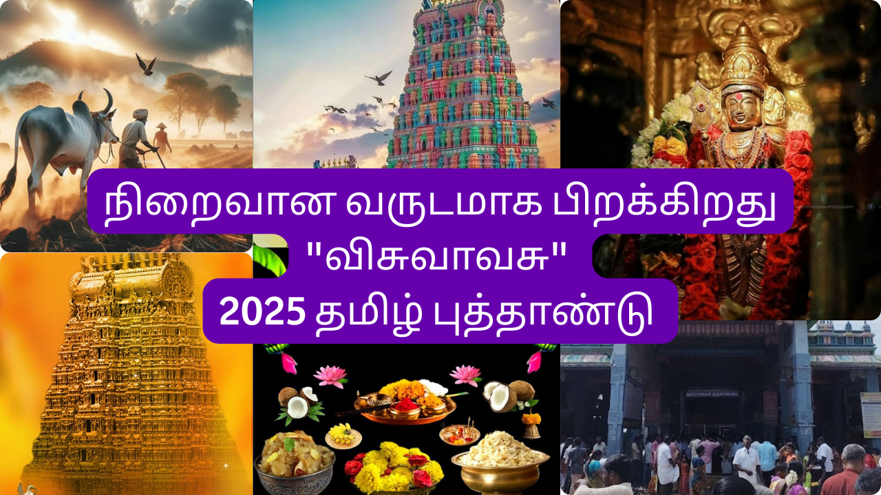 நிறைவான வருடமாக பிறக்கிறது 
