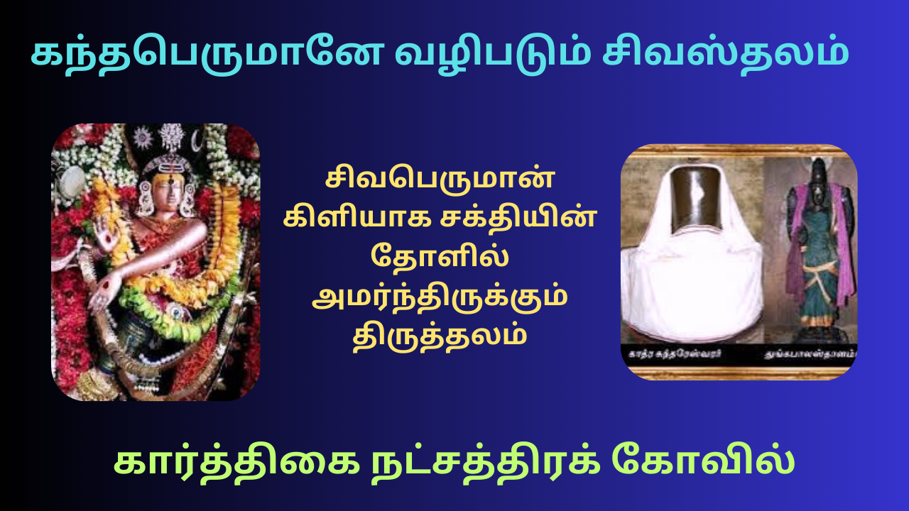  கந்தபெருமானே வழிபடும் சிவஸ்தலம் மற்றும் சிவபெருமான் கிளியாக சக்தியின் தோளில் அமர்ந்திருக்கும் சிறப்புமிக்க காத்ர சுந்தரேஸ்வரர் கோவில் – Lord Muruga is worshiped at Shivasthalam